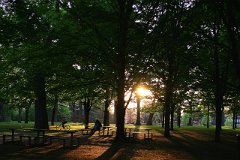 photo 0052